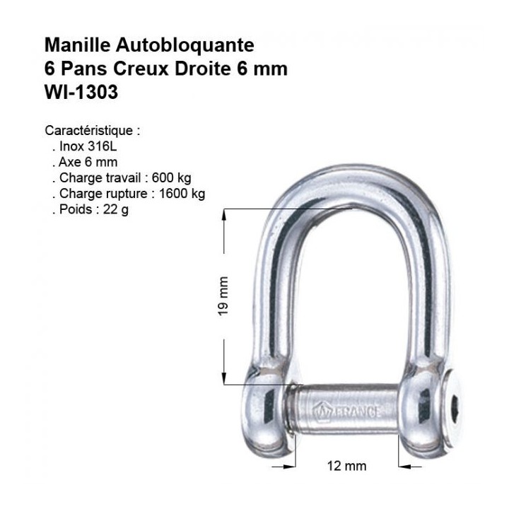 Manille Axe 6 Pans Creux Droite